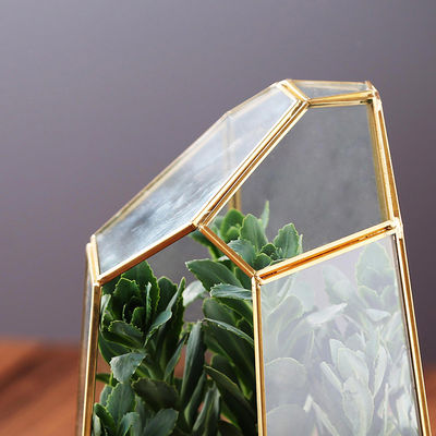 Großer Terrarium Glas-Homeware-Hexagon-Pflanzer-Behälter für saftige Anlage fournisseur