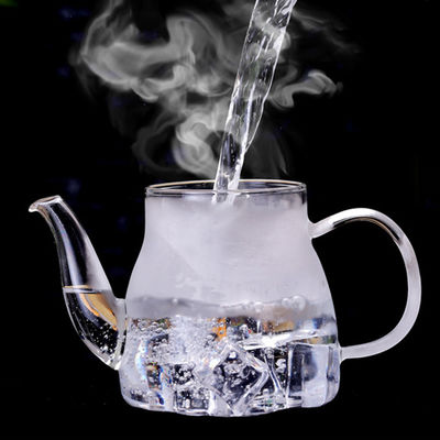 Klarglas-Teekanne Ligjtweight Stovetop 600ml entfernbarer Infuser sicherer Tee-Kessel fournisseur