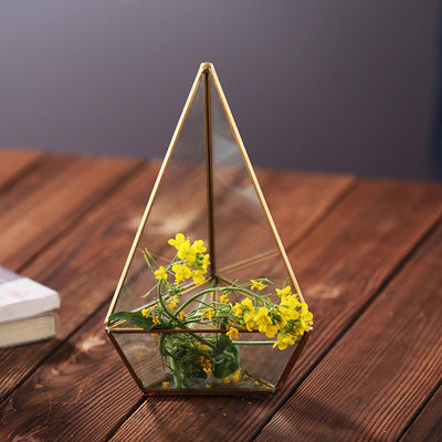 Handgemachter Glas-unregelmäßiger rautenförmiger Tischplattenglasterrarium-Pflanzer Homeware fournisseur