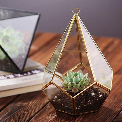 Hängender Blume Glas-Betriebsschwarz-Goldgeometrischer Glasterrarium Homeware saftiges fournisseur
