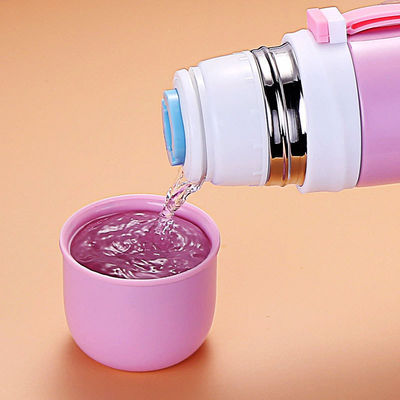 Bleifreie Thermosflasche-Wasser-Flasche, Wasser-Flasche des Resuable-Tee-Filter-500ml fournisseur